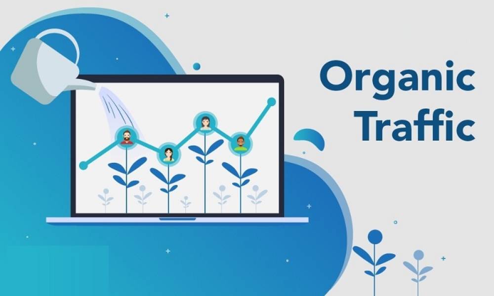 Bật mí cách tăng chỉ số Organic Search cho website