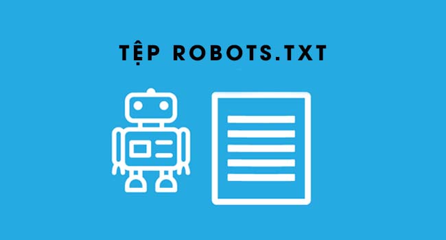 Tổng hợp các thuật ngữ có liên quan tới file SEO robots.txt